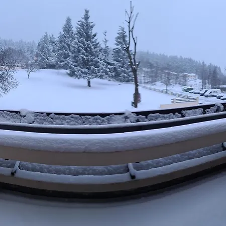 Schoene Im Herzen Des Bayerischen Wald